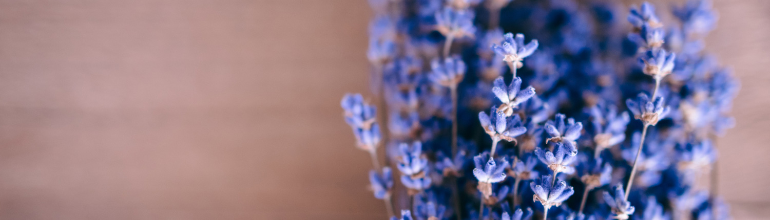 Lizzy Swick Nutrition Counseling: Integrative Nutrition for Fertility, Pregnancy, Postpartum and Women’s Health