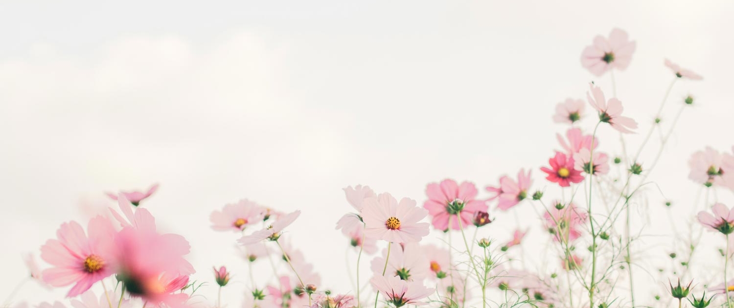 Lizzy Swick Nutrition: The Seasonal Guide to Weight Loss: Now’s the Time to Start