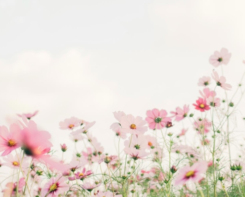 Lizzy Swick Nutrition: The Seasonal Guide to Weight Loss: Now’s the Time to Start